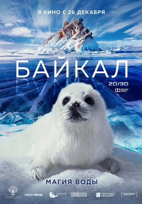 海岛之恋